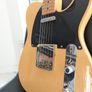 Telecaster Baja 2007 Image 9