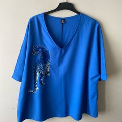 Shein curve blue top (2XL)