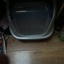 Cat litter Large Image 3
