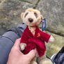 compare the market meerkat Alexksandr Image 7