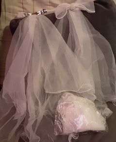 veil head band, holy communion