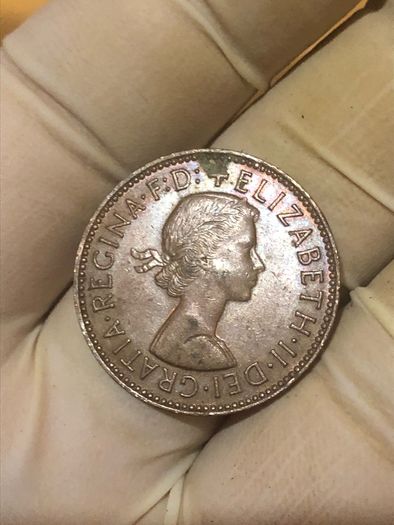 Elizabeth Halfpenny  x28 Pictures of each coin