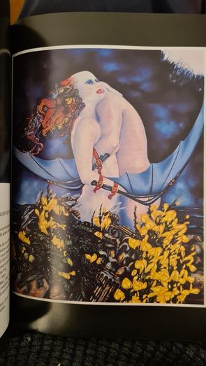 Musil'uomo By Senza Qualita. Grazia Lodeserto. Large Paperback With Beautiful Illustrated Art Pictures. See Photos. 32.