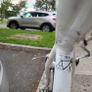 Specialised road Bike Image 3