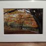 Mounted Original Photography - Ballinrush Estate Image 3