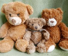 Vintage Teddy Bears
