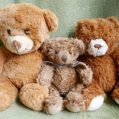 Vintage Teddy Bears