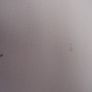 Size 10 - A Fully Lined 2 Piece Suit - Jacket and Dress - Read Carefully - E Image 7