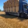 Straw and Hay Image 3