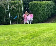 Swing - Free