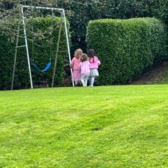 Swing - Free
