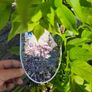 wisteria Image 2
