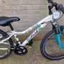 mountain Bike Image 4