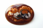 Enamel brooch,Jewellery,Brooch,