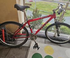 Trek Mountain Bike