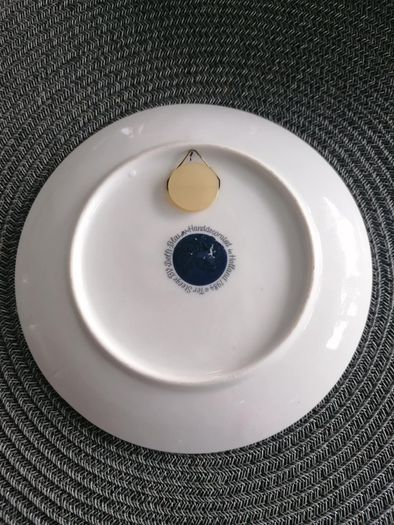 Vintage Ter Steege BV Delft-Blauw Plate