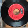 Thin Lizzy, Whiskey in the Jar 7" , German PS Press Image 6