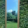 Mirror. Image 2