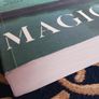 Colm Toibin/ The Magician/ 2021 Image 4