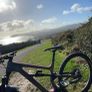 cannondale habit SE Image 2