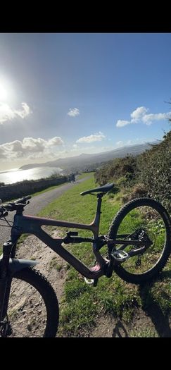 cannondale habit SE