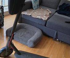 Xiaomi M365 Pro Electric Scooter