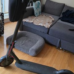 Xiaomi M365 Pro Electric Scooter