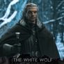 Witcher Gearalt 1/6 (Hot Toys scale) Image 9