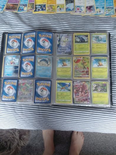 Huge pokemon collection