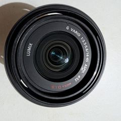 Panasonic Lumix G Vario 14-45mm f/3.5-5.6 ASPH Mega O.I.S.
