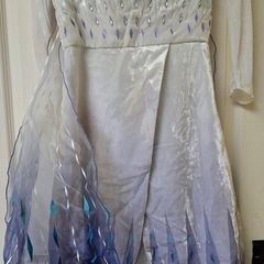 Elsa costume