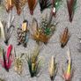 Fly Collection Image 8