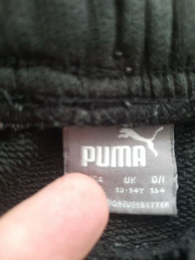 Puma Shorts