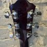 Ibanez Acoustic Guitar Image 5