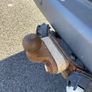 VW 2006 Caravelle Image 7