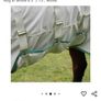 Horse Rug Image 3