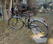 Cinzia city bike size M