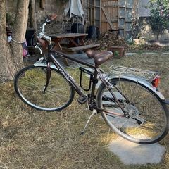 Cinzia city bike size M