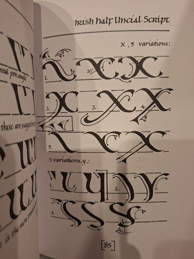 SALE!  CELTIC DESIGN Knotwork - The secret Method of the Scribes, A Beginners Manual by Aidan Meehan