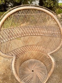 Peacock chair