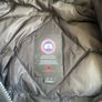 canada goose Image 7