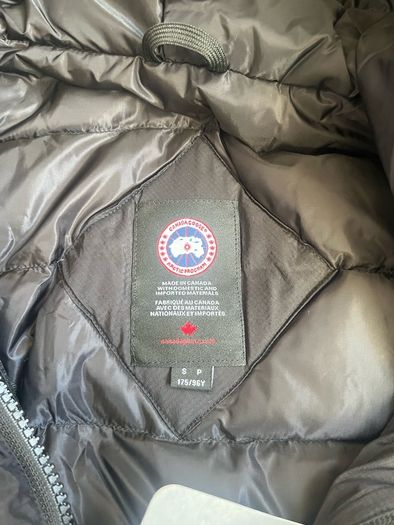 canada goose