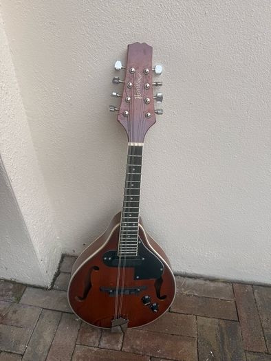 Mandolin