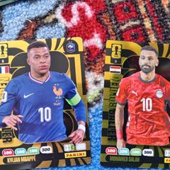 FIFA World Cup Cards bundle