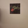 Wood. By Andy Goldsworthy. First Edition Very Large Hardback With Dustjacket In Good Condition   See Photos For Same Image 5