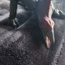 King Kong Godzilla Monster Verse Toys Image 4