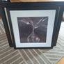 pictures Image 2