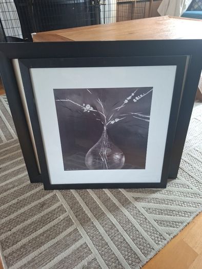 pictures