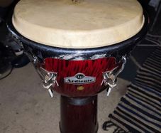 LP Ardiente Djembe Drum (12.5")