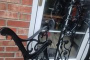 iron cast garden bench sides ends
